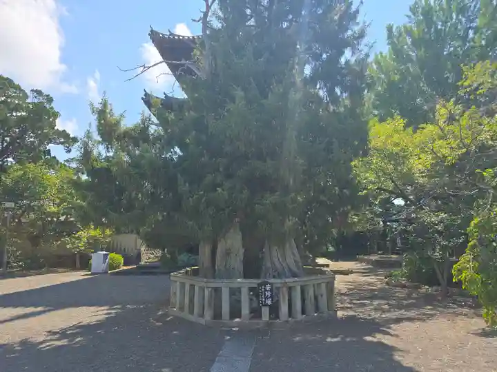 道成寺(和歌山県)