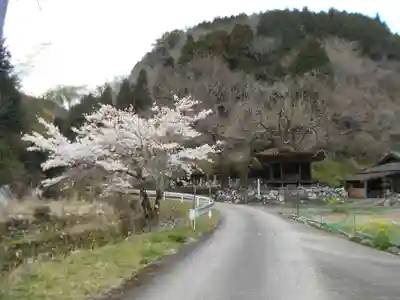 大槻阿弥陀堂の自然