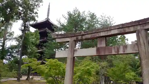 仁和寺の鳥居