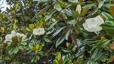 東本願寺（真宗本廟）(京都府)