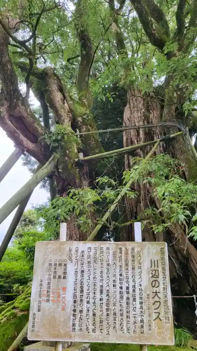 飯倉神社(鹿児島県)