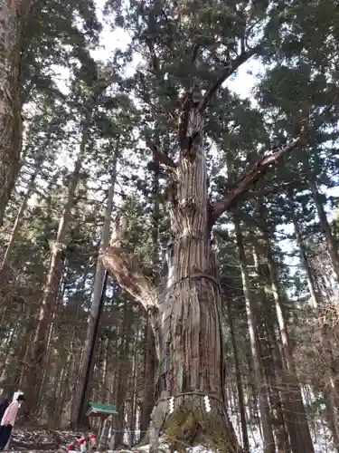 志和稲荷神社の自然