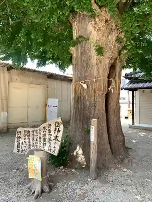 姪浜住吉神社(福岡県)