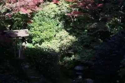 桂春院(京都府)