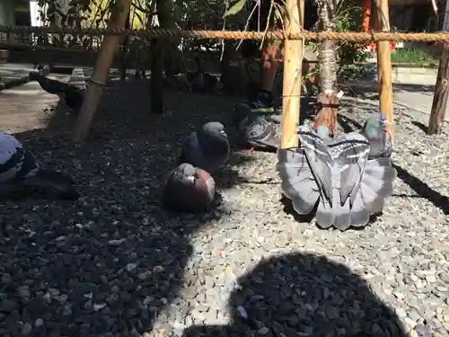 頂法寺（六角堂）(京都府)