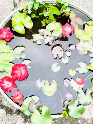 楽法寺（雨引観音）(茨城県)