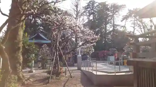 布多天神社(東京都)