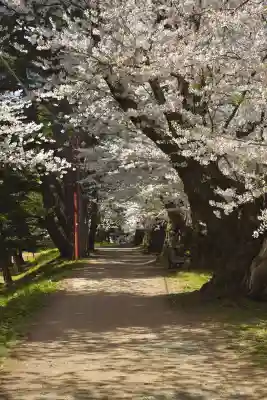 青森縣護國神社の自然
