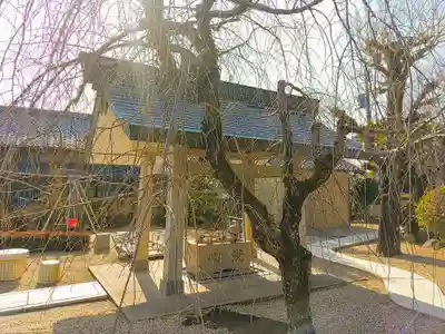 随厳寺の手水舎