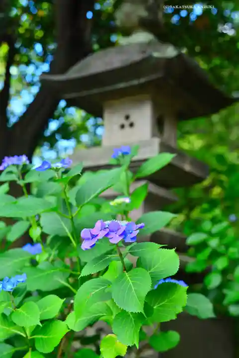 高幡不動尊 金剛寺(東京都)