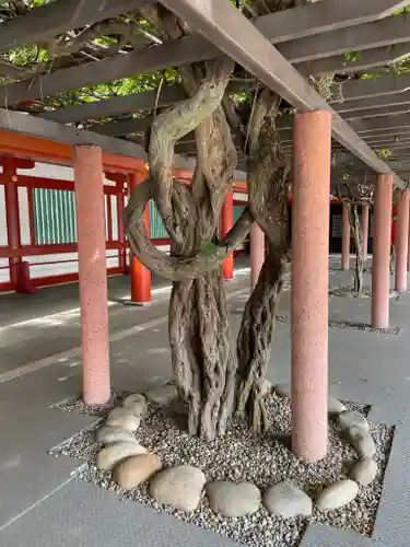 日枝神社のその他建物