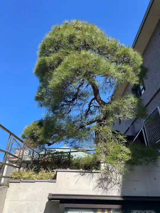 善仁寺の{uncategorized: "未分類", other: "その他", undefined: "問題あり", building: "その他建物", grave: "お墓", sacred_gate: "鳥居", guardian: "狛犬", statue: "像", buddha: "仏像", history: "歴史", nature: "自然", garden: "庭園", animal: "動物", pagoda: "塔", temizu: "手水舎", mountain_gate: "山門・神門", sanctuary: "本殿・本堂", subordinate: "末社・摂社", art: "芸術", scenery: "景色", jizo: "地蔵", ema: "絵馬", goshuin: "御朱印", omikuji: "おみくじ", items: "授与品その他", amulet: "お守り", goshuincho: "御朱印帳", eats: "食事", festival: "お祭り", votive_dance: "神楽", shichigosan: "七五三参", wedding: "結婚式", experience: "体験その他", initially: "初詣", around: "周辺", anti_infection: "感染症対策"}