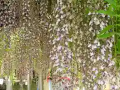 和気神社の庭園