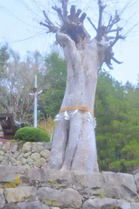 夫婦木神社(山梨県)