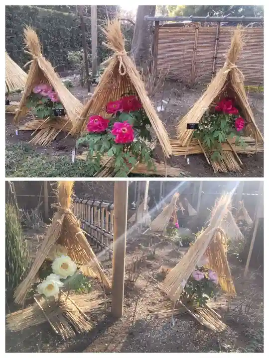 上野東照宮(東京都)