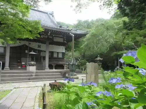 安國論寺（安国論寺）の本殿・本堂
