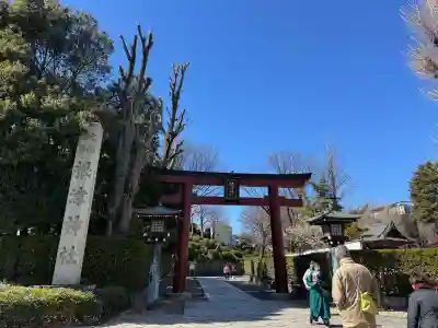 根津神社の{uncategorized: "未分類", other: "その他", undefined: "問題あり", building: "その他建物", grave: "お墓", sacred_gate: "鳥居", guardian: "狛犬", statue: "像", buddha: "仏像", history: "歴史", nature: "自然", garden: "庭園", animal: "動物", pagoda: "塔", temizu: "手水舎", mountain_gate: "山門・神門", sanctuary: "本殿・本堂", subordinate: "末社・摂社", art: "芸術", scenery: "景色", jizo: "地蔵", ema: "絵馬", goshuin: "御朱印", omikuji: "おみくじ", items: "授与品その他", amulet: "お守り", goshuincho: "御朱印帳", eats: "食事", festival: "お祭り", votive_dance: "神楽", shichigosan: "七五三参", wedding: "結婚式", experience: "体験その他", initially: "初詣", around: "周辺", anti_infection: "感染症対策"}