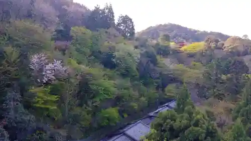 清水寺の景色