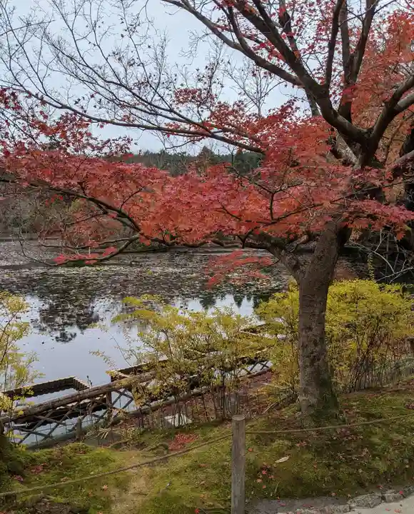 龍安寺(京都府)
