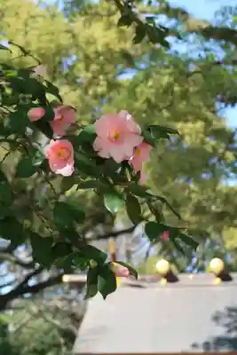 八剣宮（熱田神宮別宮）(愛知県)