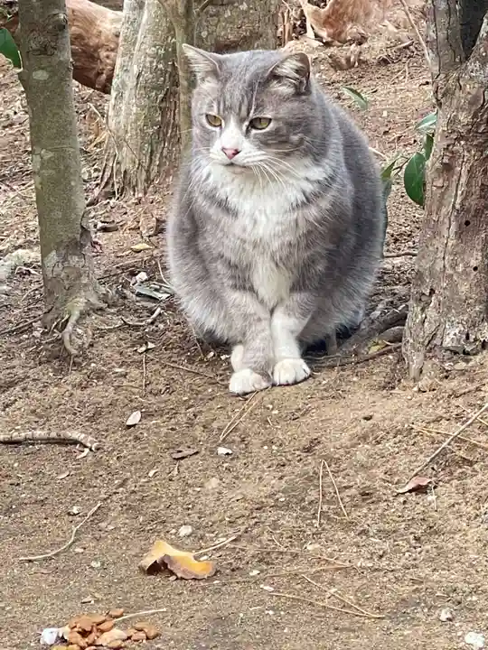 鎌数伊勢大神宮(千葉県)
