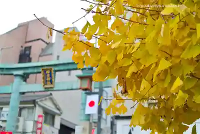 神田神社（神田明神）(東京都)