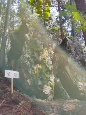 戸隠神社の自然