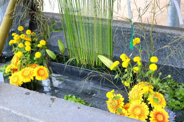 三津厳島神社の手水舎