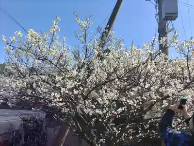 金熊寺(大阪府)