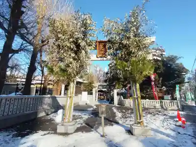 三囲神社の鳥居
