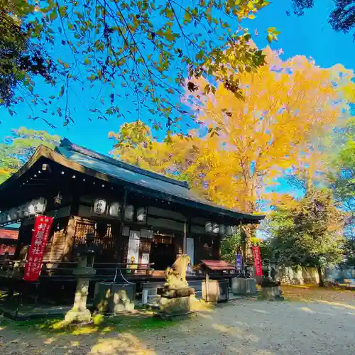 村屋坐弥冨都比売神社(奈良県)