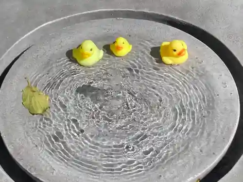 高円寺氷川神社の庭園