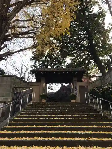 願成寺の山門・神門