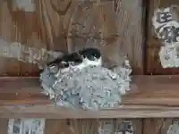 大御堂寺(野間大坊)(愛知県)