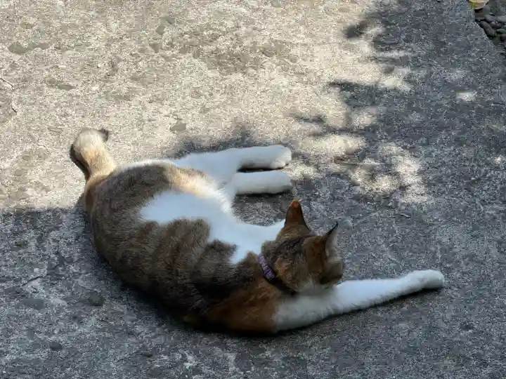 長楽寺(静岡県)