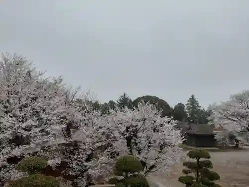 伏木香取神社の景色