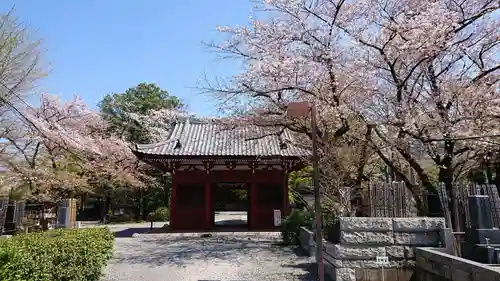 妙光院の山門