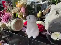 亀ケ池八幡宮(神奈川県)