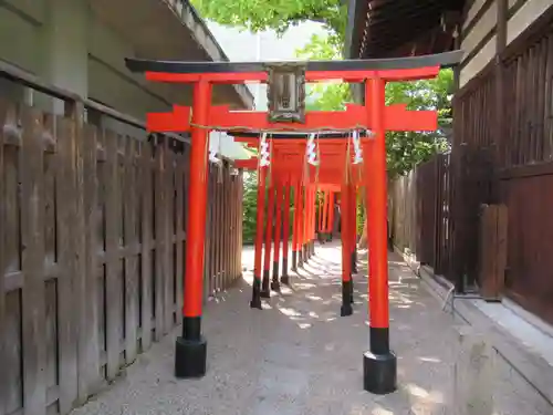 堀越神社の鳥居