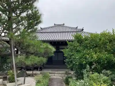 專稱寺（専称寺）(京都府)