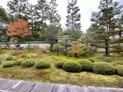 大雄院の庭園