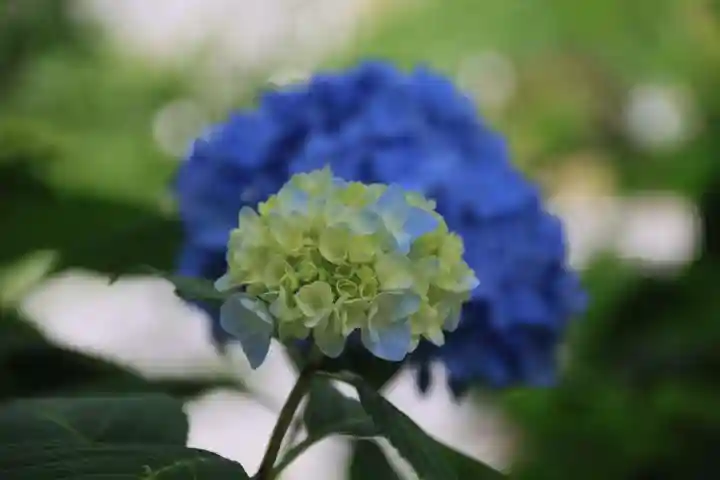 長屋神社の庭園