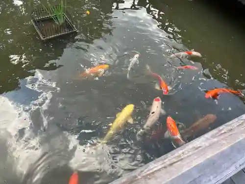 東郷神社(東京都)