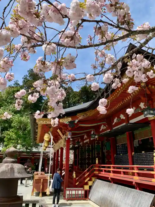 志波彦神社・鹽竈神社の{uncategorized: "未分類", other: "その他", undefined: "問題あり", building: "その他建物", grave: "お墓", sacred_gate: "鳥居", guardian: "狛犬", statue: "像", buddha: "仏像", history: "歴史", nature: "自然", garden: "庭園", animal: "動物", pagoda: "塔", temizu: "手水舎", mountain_gate: "山門・神門", sanctuary: "本殿・本堂", subordinate: "末社・摂社", art: "芸術", scenery: "景色", jizo: "地蔵", ema: "絵馬", goshuin: "御朱印", omikuji: "おみくじ", items: "授与品その他", amulet: "お守り", goshuincho: "御朱印帳", eats: "食事", festival: "お祭り", votive_dance: "神楽", shichigosan: "七五三参", wedding: "結婚式", experience: "体験その他", initially: "初詣", around: "周辺", anti_infection: "感染症対策"}