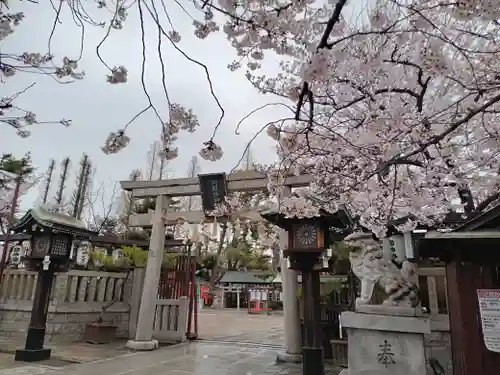 阿部野神社の鳥居