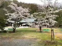 山梨縣護國神社の自然