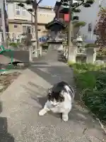 弁天社の{uncategorized: "未分類", other: "その他", undefined: "問題あり", building: "その他建物", grave: "お墓", sacred_gate: "鳥居", guardian: "狛犬", statue: "像", buddha: "仏像", history: "歴史", nature: "自然", garden: "庭園", animal: "動物", pagoda: "塔", temizu: "手水舎", mountain_gate: "山門・神門", sanctuary: "本殿・本堂", subordinate: "末社・摂社", art: "芸術", scenery: "景色", jizo: "地蔵", ema: "絵馬", goshuin: "御朱印", omikuji: "おみくじ", items: "授与品その他", amulet: "お守り", goshuincho: "御朱印帳", eats: "食事", festival: "お祭り", votive_dance: "神楽", shichigosan: "七五三参", wedding: "結婚式", experience: "体験その他", initially: "初詣", around: "周辺", anti_infection: "感染症対策"}