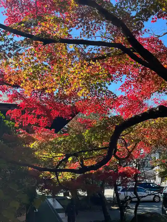 鎌倉宮(神奈川県)