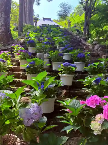 普門寺(切り絵御朱印発祥の寺)(愛知県)
