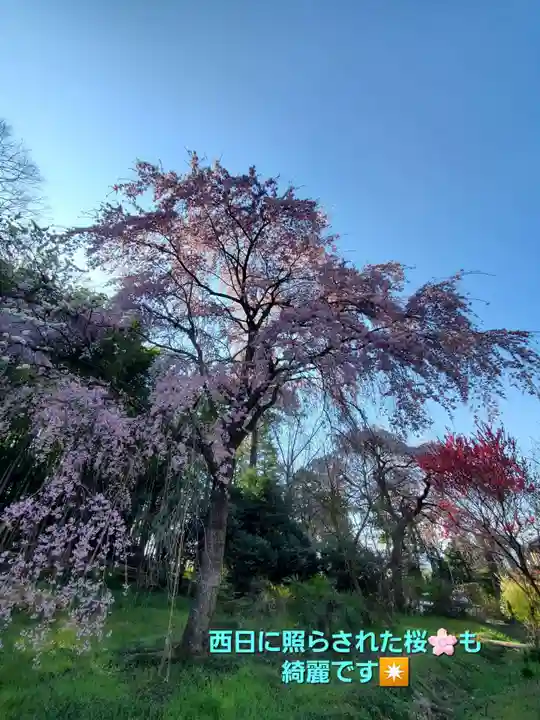 上合寺(福島県)